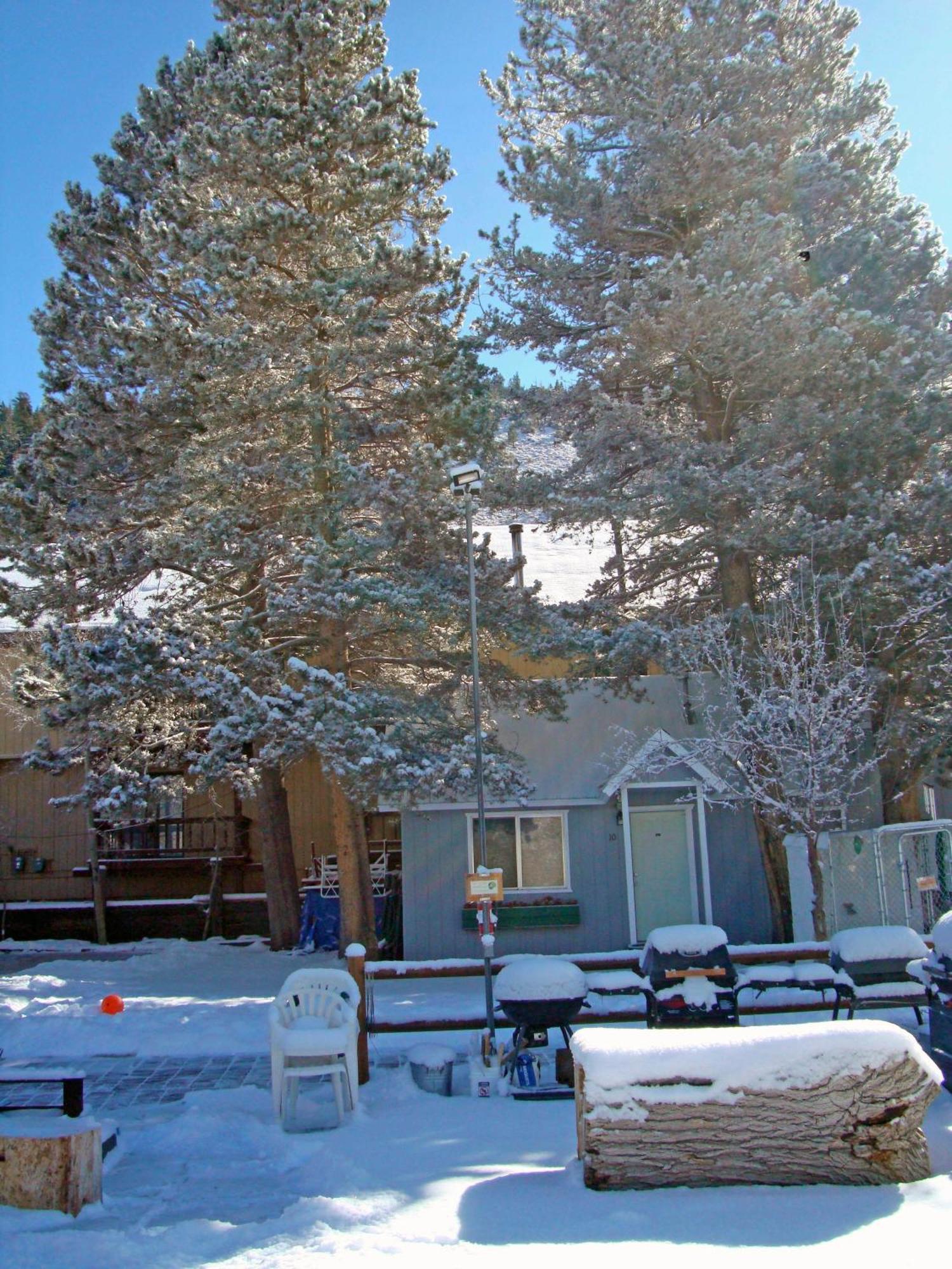 Lake Front Cabins June Lake Exterior foto